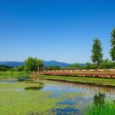 다섯개의달 이미지