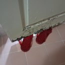 남성 한빛 | 부산 대신동 후드교체 남성한빛 하츠 통후드·욕실문 동시 시공 후기