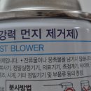 제주냐옹실 고양이미용 네이버블로그