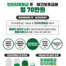 생활원예 야간 이미지