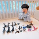 고래등바다장어 | 제트피규어 해양동물 상어, 고래피규어 바다동물장난감 내돈내산 후기