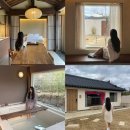 메종드시고르 이미지