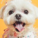 헬로우 - 원주시 감영길 48 | 헬로우