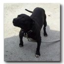 순이농장 이미지