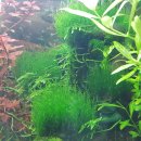 불꽃쉼터 이미지