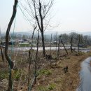 작지만큰농장 이미지