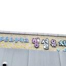 신월초교병설유치원 이미지