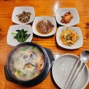 오하이오 | [2022 제주 올레길] DAY 3. 올레길 4코스, 5코스 (표선~쇠소깍)