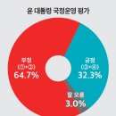 뉴스토마토 여론조사) 윤 대통령 긍정 32.3 민주 46.3% 국힘 34.1%(종합) 이미지