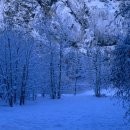 옛날옛적 이미지