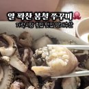 영재식품 | 가락시장 횟집 맛집 영재수산l 알 꽉찬 봄제철 쭈꾸미