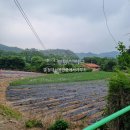 청주대성공인중개사사무소 이미지