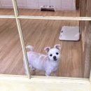 그루밍 타임 네이버블로그