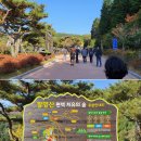 팔영산편백치유의숲주차장1 이미지