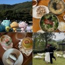 한빛공원(리더스프라자 앞) | 대전 1박2일 커플여행 코스｜가을 감성 가득한 명상정원·맛집·카페 완벽 일정 공유