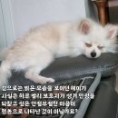 헤이스토리 이미지