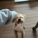 아싸당첨