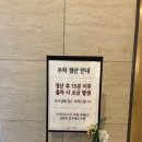 서현로180번길 | [하이의 웨딩홀] 더메리든 27년 상반기 계약 완료 상담 솔직 후기 (사진 많음)