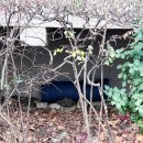 마마하우스 | 터널형 길고양이 겨울집 은폐 엄폐 길냥이 숨숨집 추천