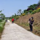 자율방범대 이미지