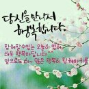 장미의거리11 이미지