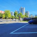 대덕대로(유성-4) 이미지