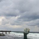 36.오도B 이미지