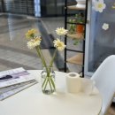 르시앙 수성점 이미지