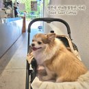 스몰굿커피 평촌점 네이버블로그