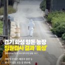 화성양돈 이미지