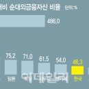외금 이미지