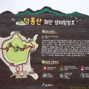 제324차 강원도 삼척시초곡용굴촛대바위길.덕봉산해안둘레길.삼척장미공원축제장 공지 이미지
