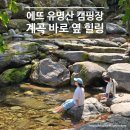 맑은물소리캠핑장 | 경기도 계곡 캠핑장 에뜨, 가평 유명산 품은 오토캠핑장 자꾸 생각나