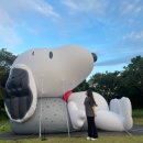 몰랑몰랑신제주점 | 스누피 가든 카페 하계 단기 알바 후기