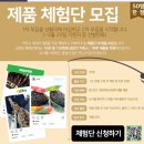 25.05월 세네 체험단 1기 선정, 그리고 출조 찐후기!!