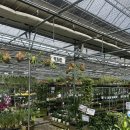 대형농장 | 파주 조인폴리아 | 대형 식물 농장 방문 후기