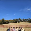 삼례초등학교 이미지