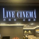 꽃길라이브 | [라이브시네마 우정] 홍대 꽃길 방탈출 / 5인 내돈내산 솔직후기