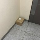 3698 | [아디다스]핸드볼 스페지알 W - 원더 화이트/IE3698 (260,225 사이즈) 내돈내산 후기