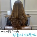 아영원 티스토리