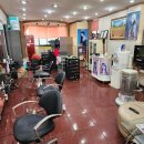 월드애견미용실 이미지