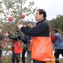 충주거점산지유통센터 이미지