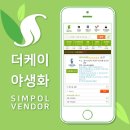 [심폴 입점사] 더케이야생화🌱🏬 (관엽식물/공기정화식물/야생화/허브/수생식물/채소/동백/묘목/조경...