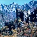 금강산주유소 이미지