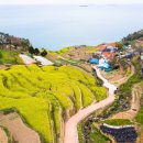 남해가봄 이미지