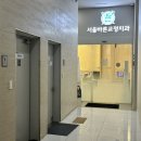 대구 서울바른교정치과 과개교합 교정치료 후기, 추천