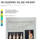 고기로1-1 이미지