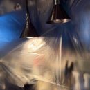 세종약품 주식회사 이미지