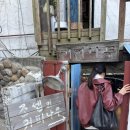 커피나무 | [서울 성북]하울의 움직이는 성 같은 조셉의 커피나무 후기☕️