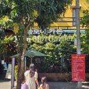 고명약국 | 나트랑 씀모이가든 | 웨이팅없는 맛집 반쎄오 쌀국수먹은 후기